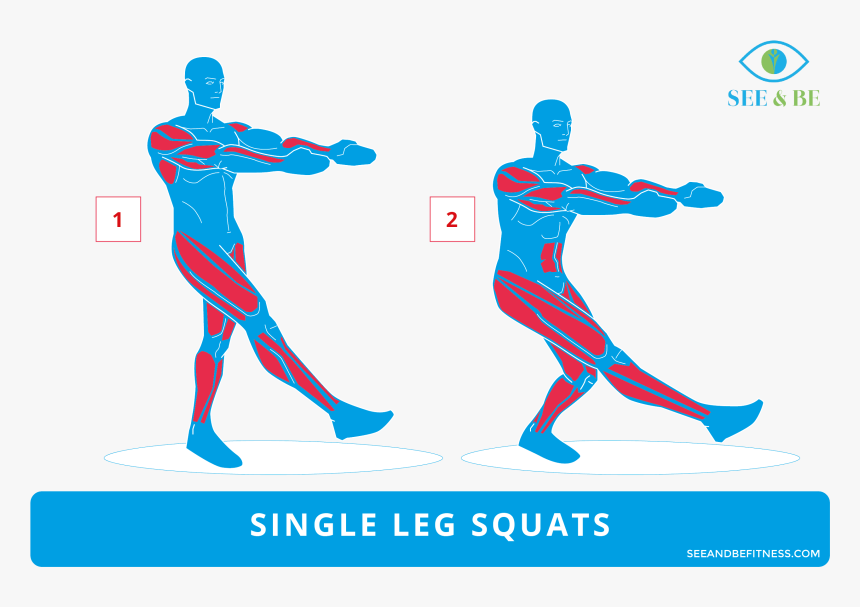 Of The Day Single - Dumbbell Side Lunges Muscles, HD Png Download, Free Download