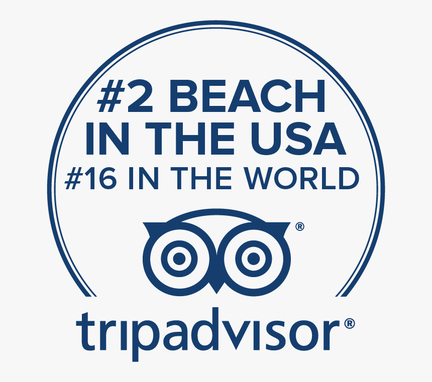 Trip Advisor Award - Trip Advisor, HD Png Download, Free Download