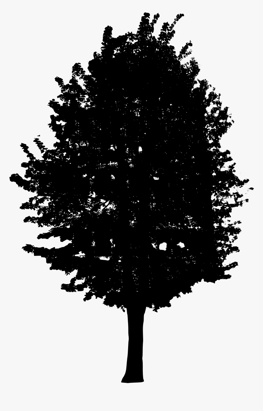 Tree-7 - Preto Branco Arvore Png, Transparent Png, Free Download