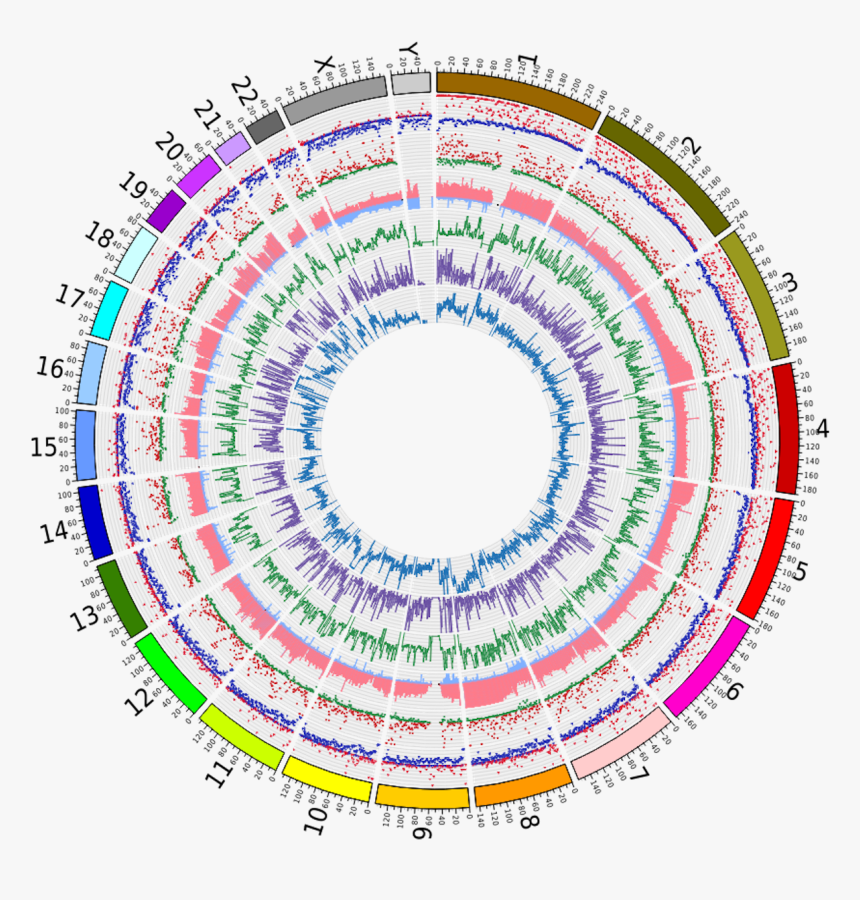 Genomic Landscape Of Cancer - Personalized Cancer Vaccine, HD Png Download, Free Download