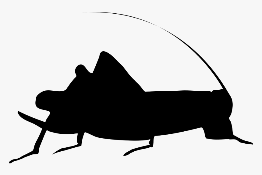 Cricket Silhouette - Silhueta De Grilo, HD Png Download, Free Download