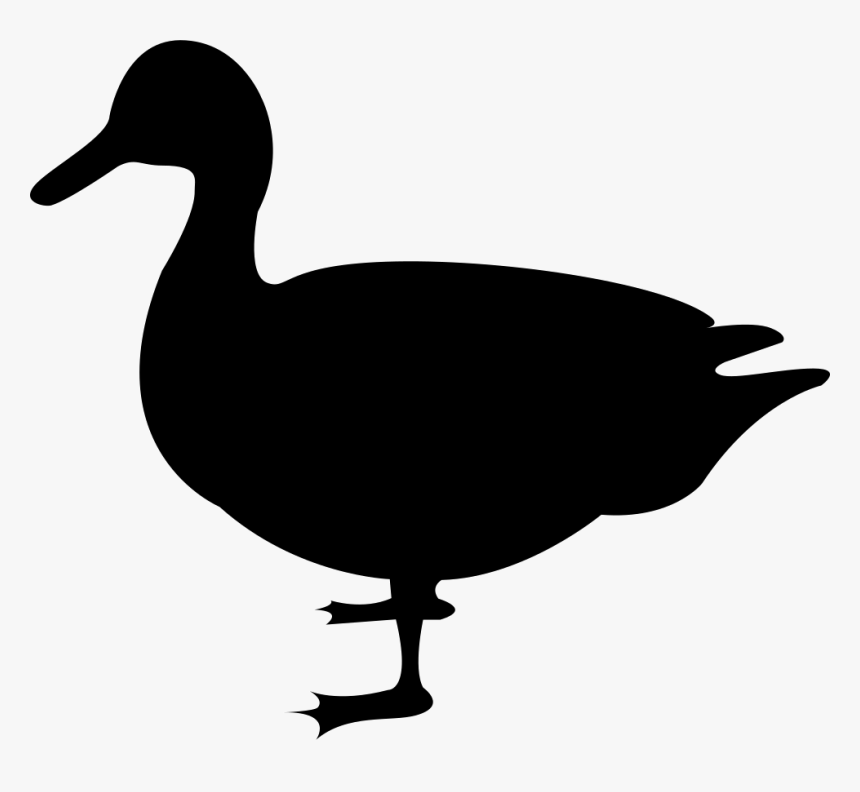 Bird,duck,beak,water Bird,ducks, Geese And Black Duck,mallard,clip - Duck Svg Free, HD Png Download, Free Download