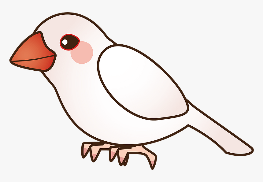 Java Sparrow Bird Clipart - Northern Grey Shrike, HD Png Download, Free Download