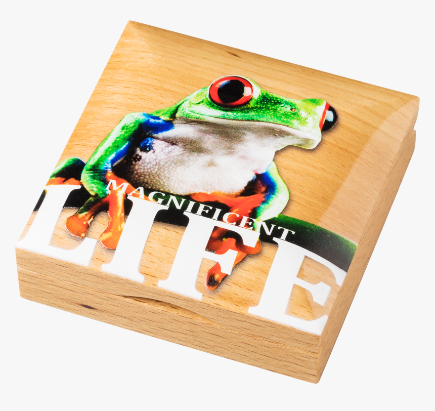 Cook Islands - 2018 - 5 Dollars - Magnificent Life - Green-eyed Tree Frog, HD Png Download, Free Download