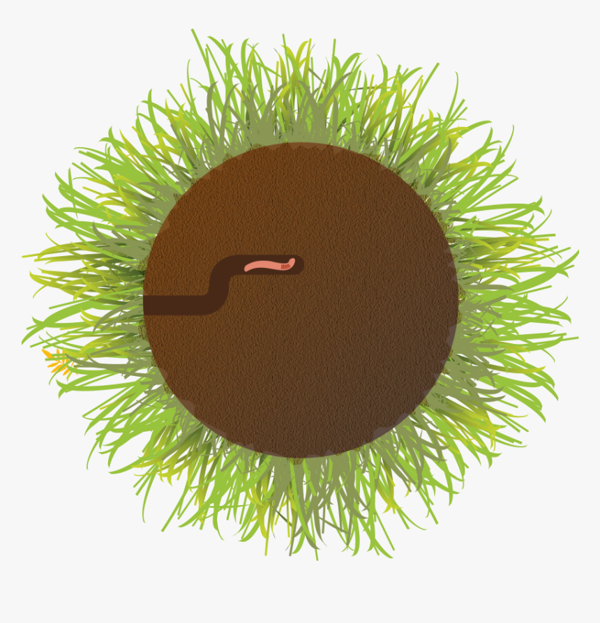 Grass , Png Download - Grass, Transparent Png, Free Download