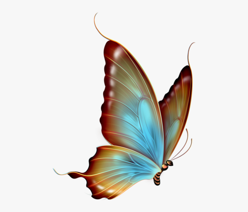 Borboleta Realista Azul 2 Transparent Background Butterfly Clipart