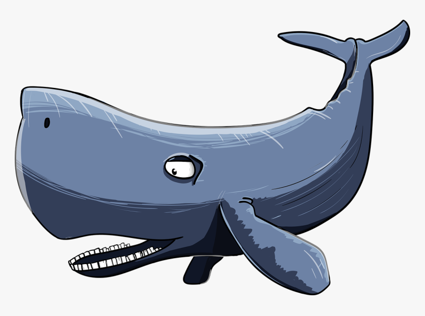 Sperm Whale Cartoon Png, Transparent Png, Free Download