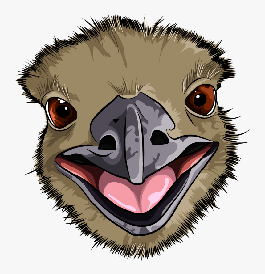 Emu , Png Download - Cartoon, Transparent Png, Free Download