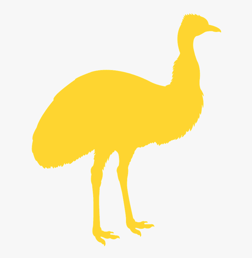 Flightless Bird, HD Png Download, Free Download