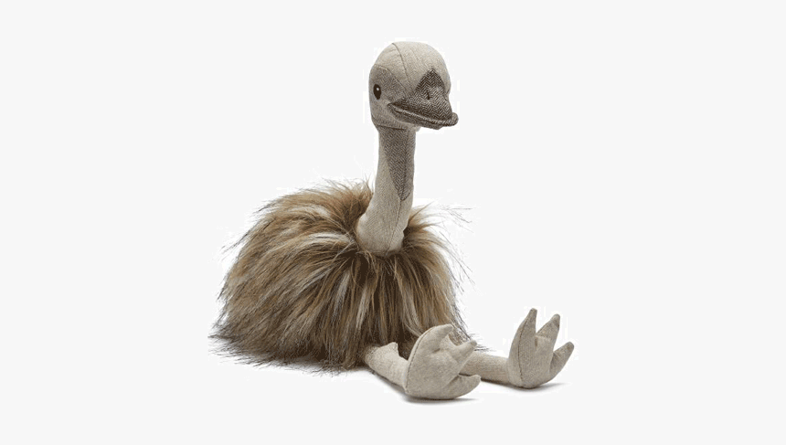 Emu, HD Png Download, Free Download