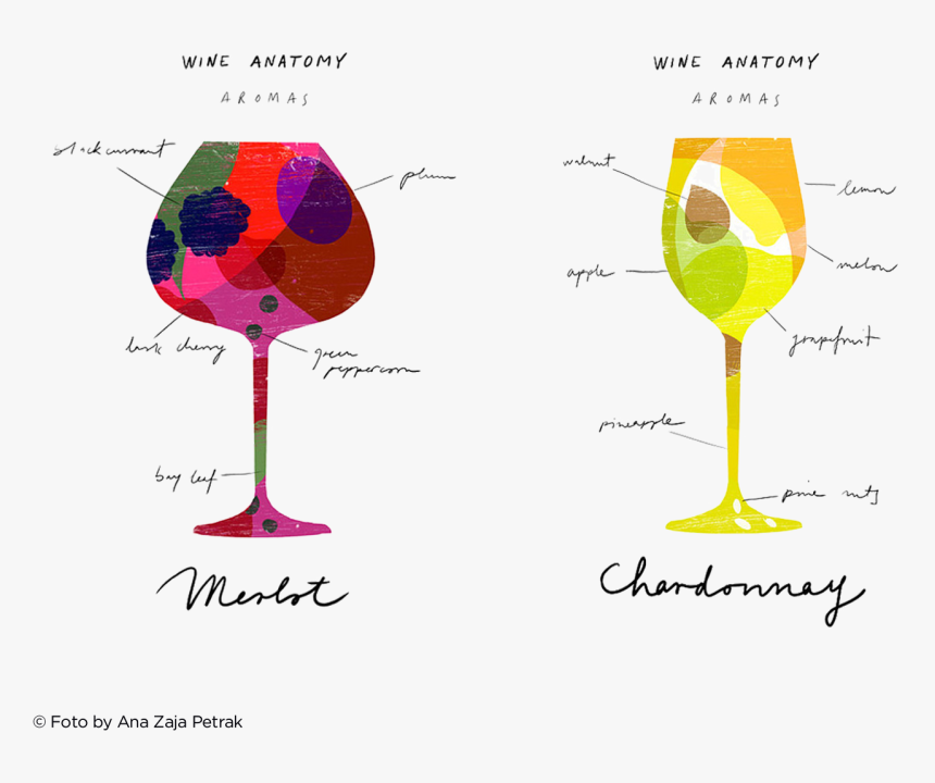 Wine Training, HD Png Download, Free Download