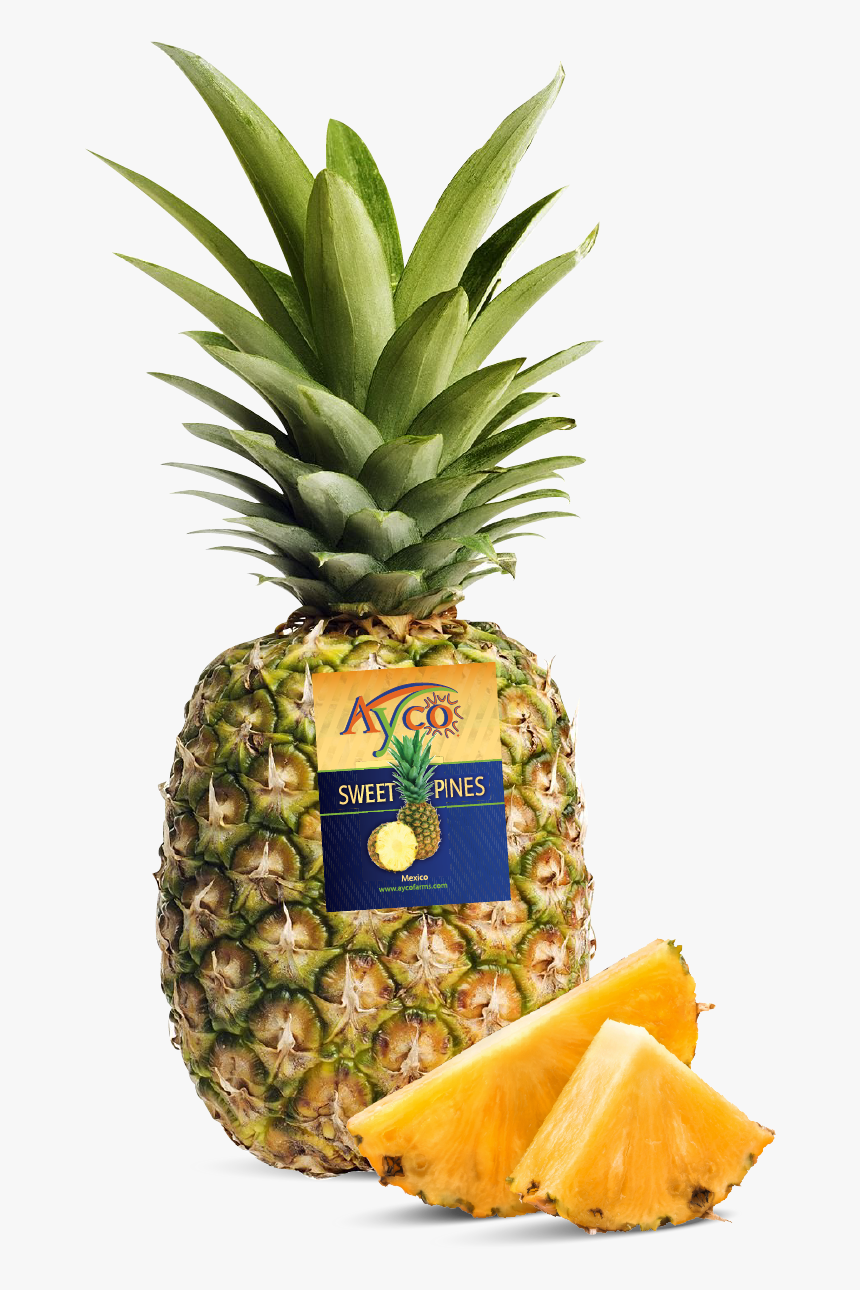 Image - Pineapple Cutout, HD Png Download, Free Download