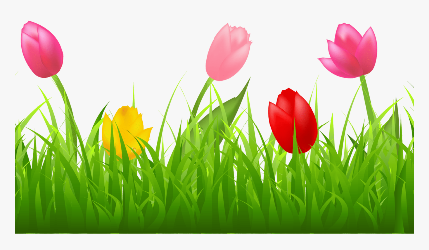 Grass With Colorful Tulips Png Clipart Spring Pinterest - Clipart Tulip, Transparent Png, Free Download