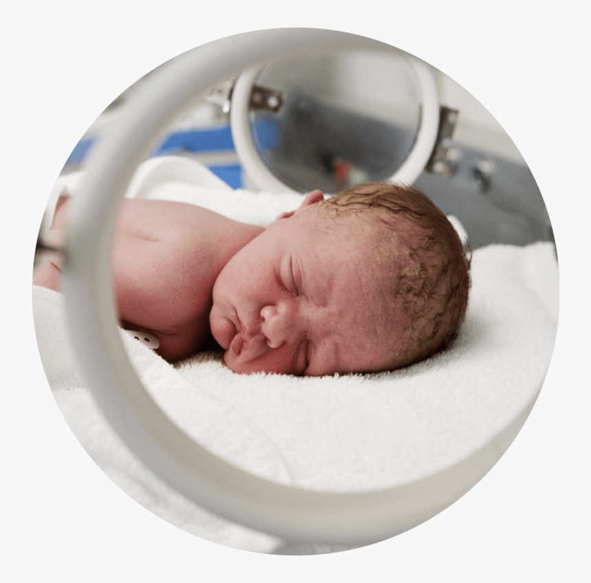 Baby In Incubator, HD Png Download, Free Download