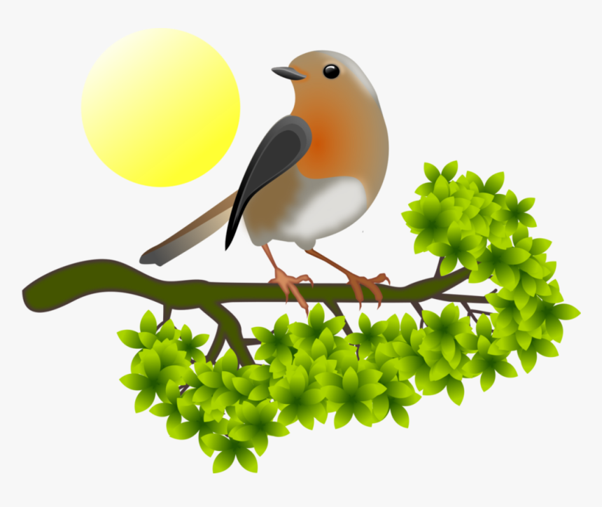 European Robin Png Hd - European Robin, Transparent Png, Free Download