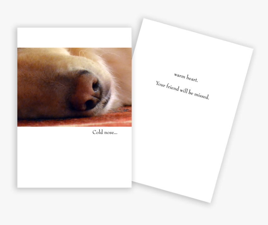 Sympathy Card Dog Nose - Golden Retriever, HD Png Download, Free Download