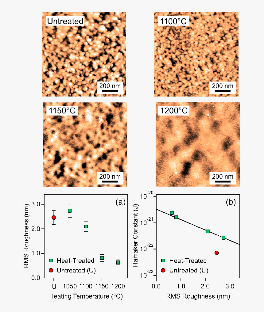 Rms Roughness In Afm, HD Png Download, Free Download