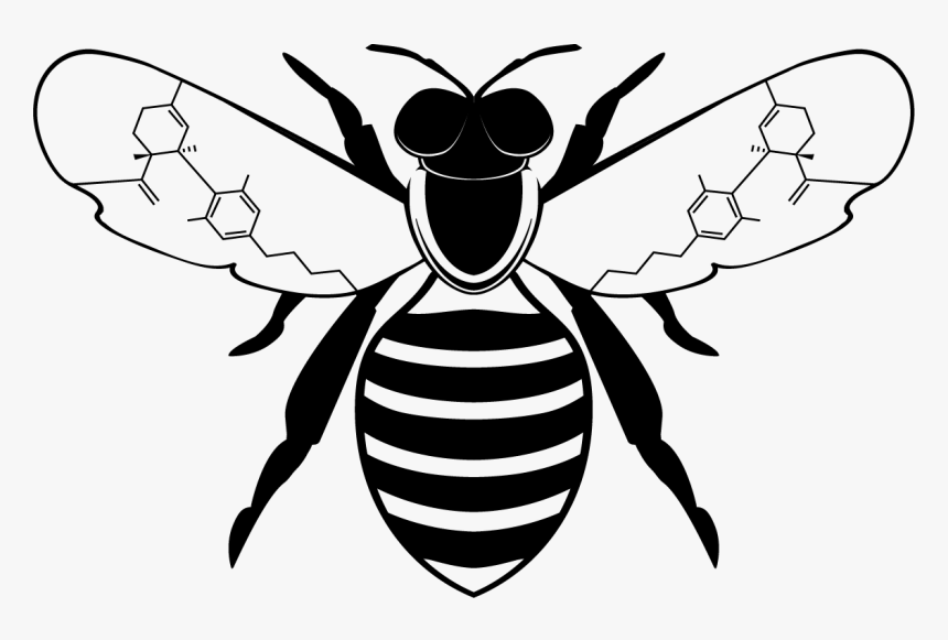 Honeybee, HD Png Download, Free Download