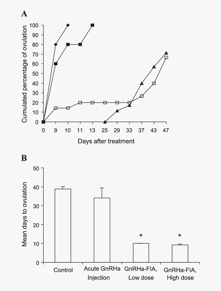 Protein, Hd Png Download - Gonadotropin-releasing Hormone Agonist, Transparent Png, Free Download