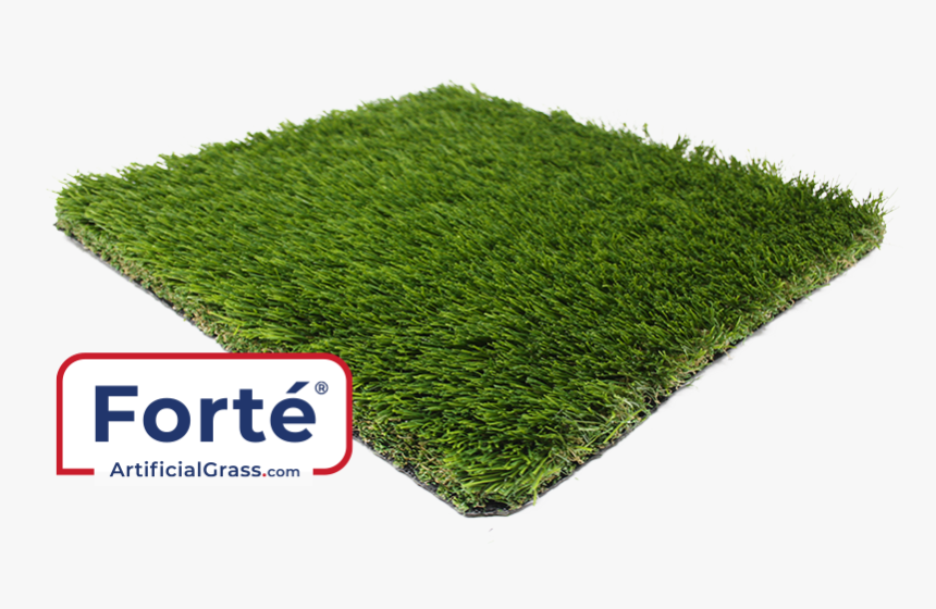 Lawn, HD Png Download, Free Download