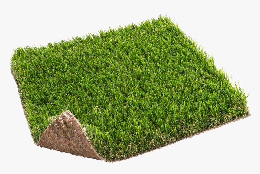 Lawn, HD Png Download, Free Download