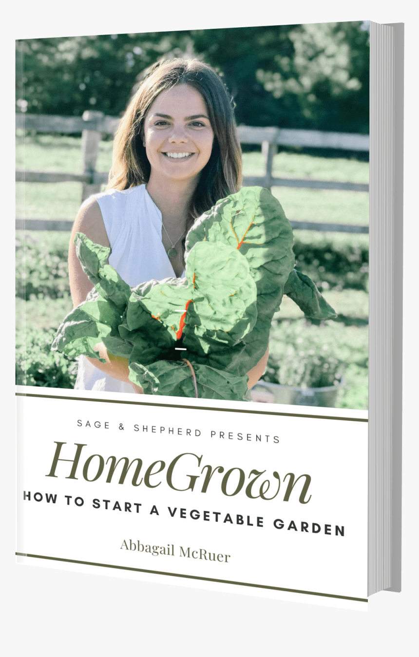 How To Start A Vegetable Garden Ebook - Poster, HD Png Download, Free Download