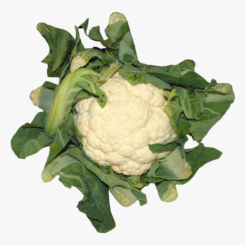 Cauliflower, HD Png Download, Free Download