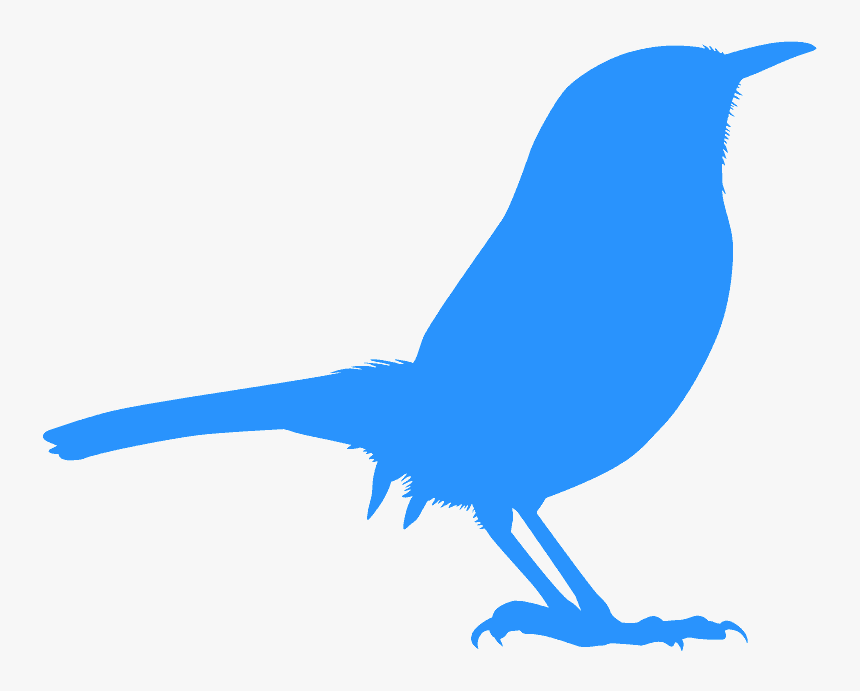 Wren Vector, HD Png Download, Free Download