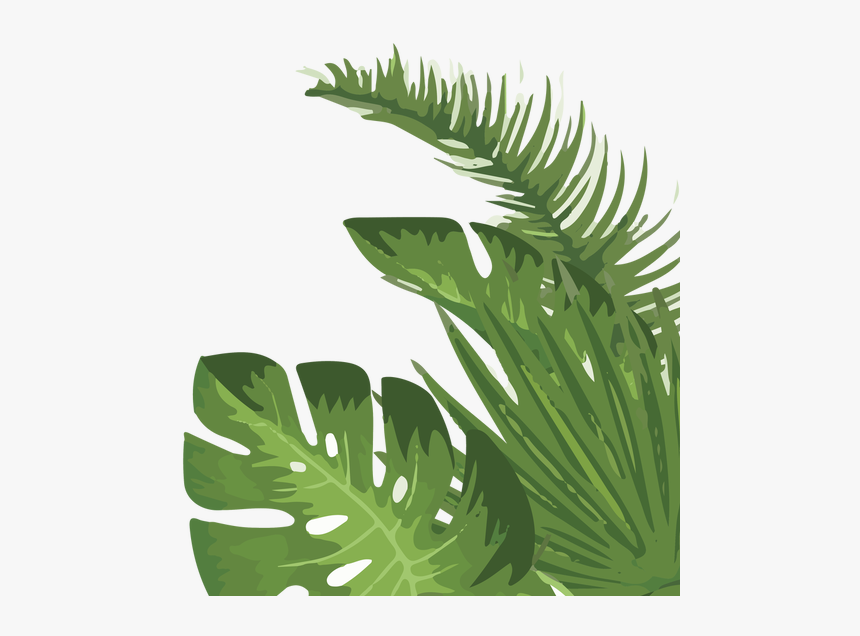 Palm Tree, HD Png Download, Free Download