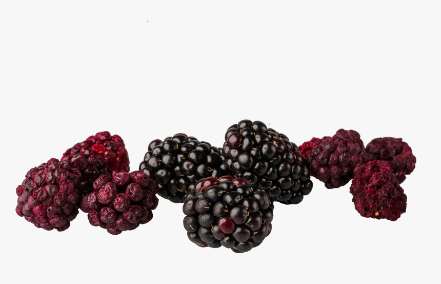 Blackberries Png, Transparent Png, Free Download