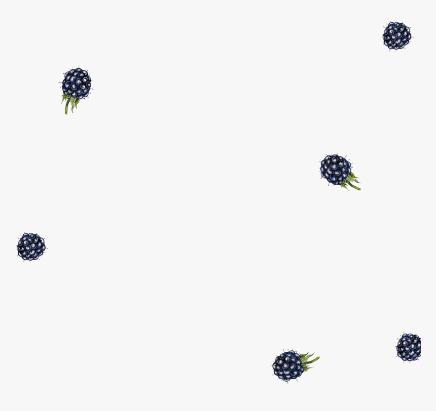 Blackberry, HD Png Download, Free Download