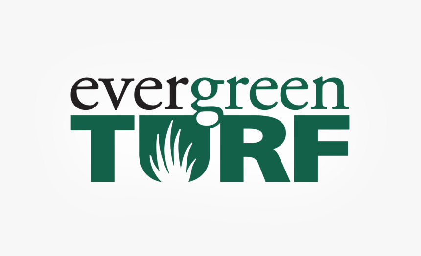 Evergreen, HD Png Download, Free Download