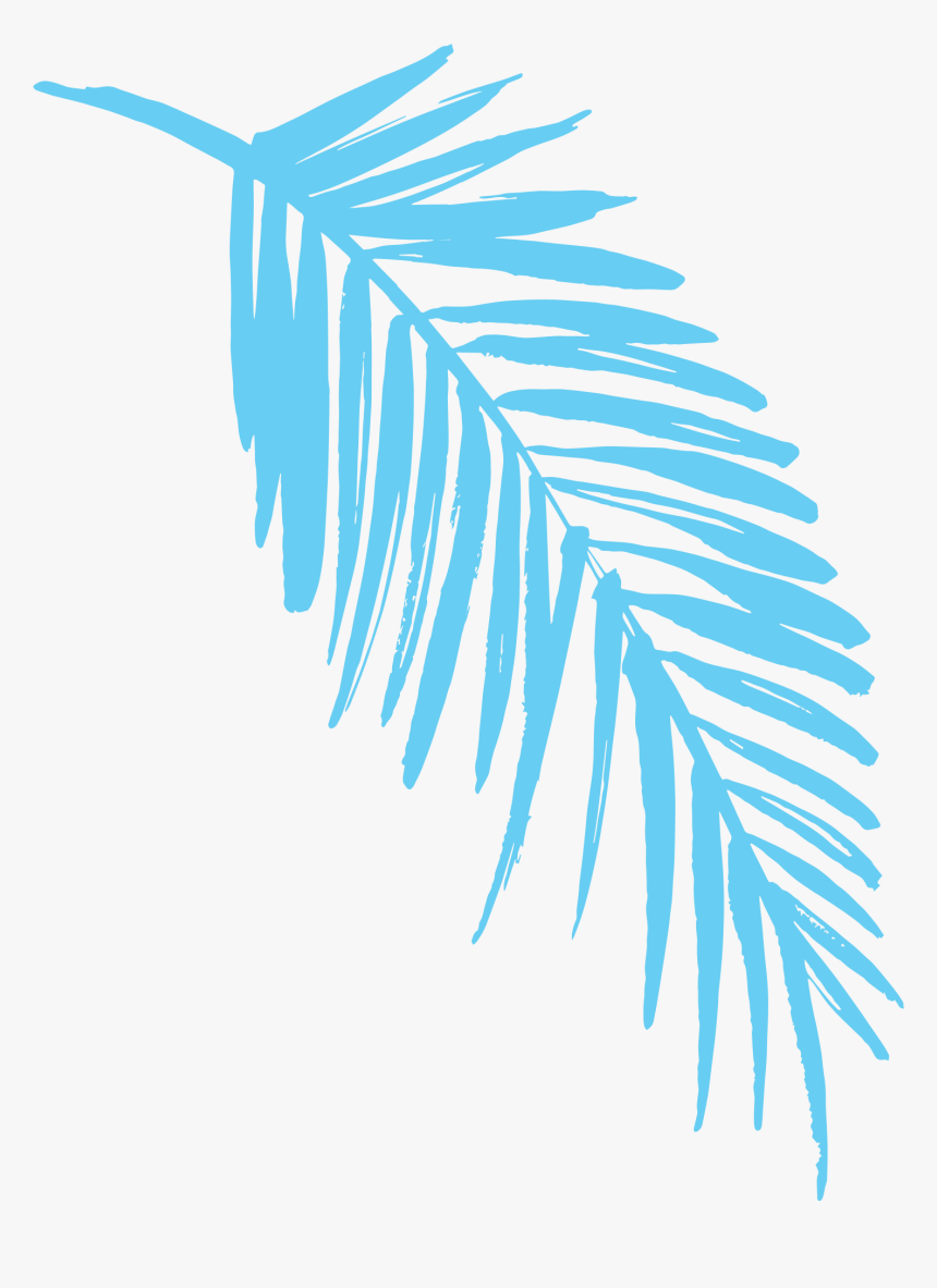 2019 Light Blue Fern Leaf - Transparent Fern Clip Art, HD Png Download, Free Download