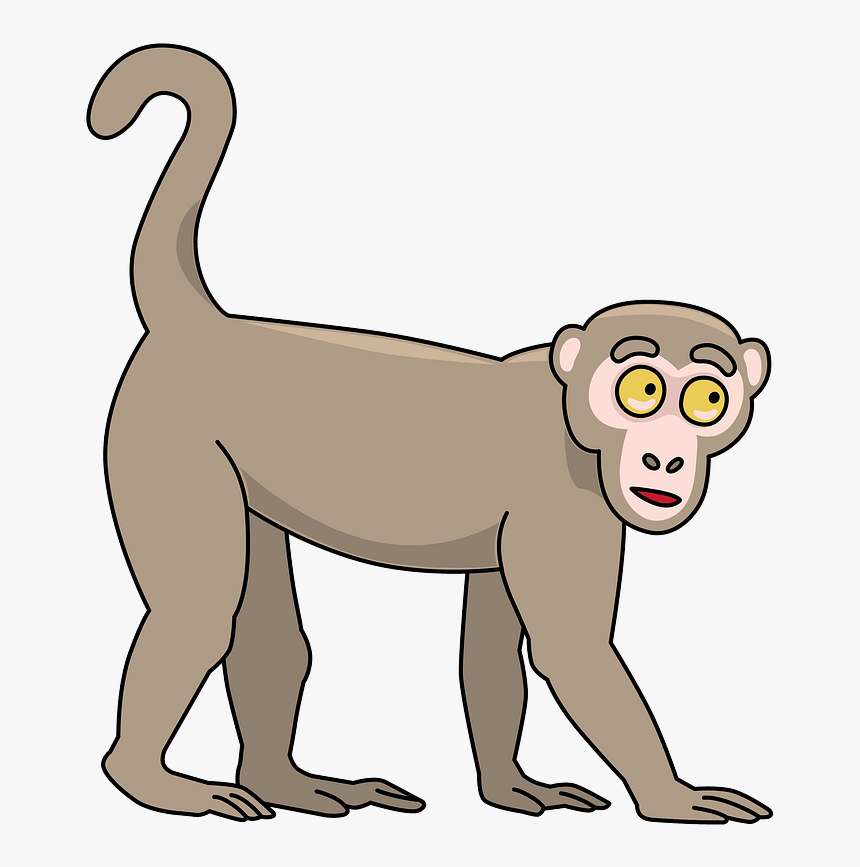 Monkey Clipart, HD Png Download, Free Download