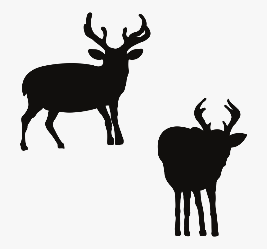 Elk, HD Png Download, Free Download