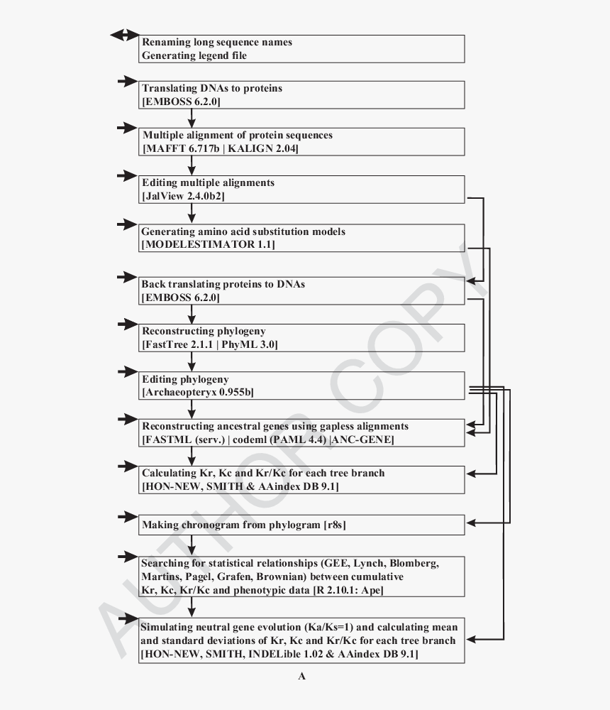 Document, HD Png Download, Free Download