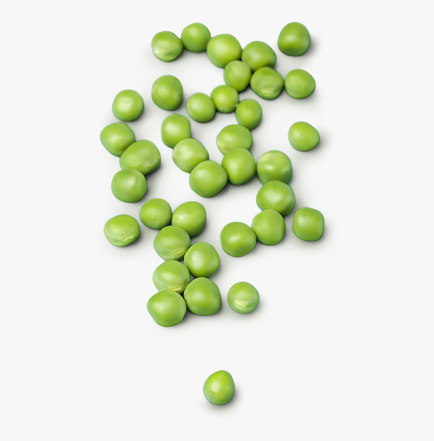 Pea, HD Png Download, Free Download