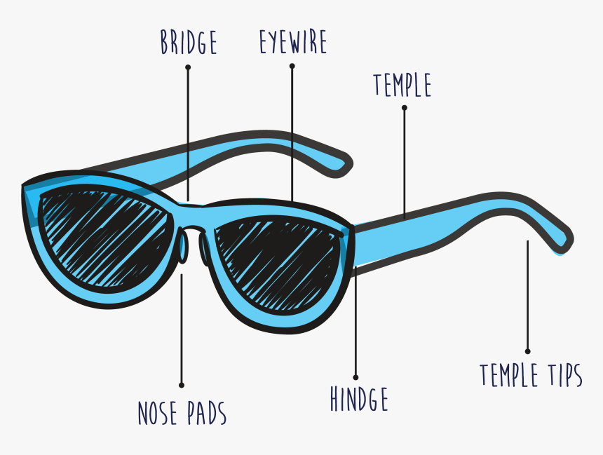 Basic Frame Anatomy - Glassees Anatomy, HD Png Download, Free Download