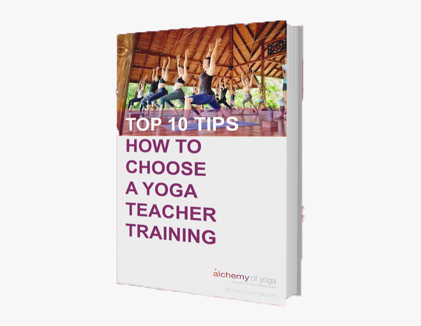 Top 10 Tips Free Guide - Banner, HD Png Download, Free Download