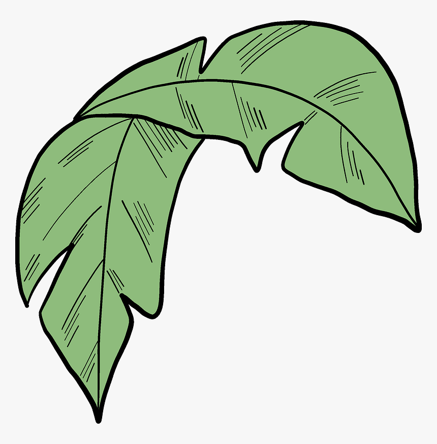 Palm Leaf Clipart, HD Png Download, Free Download