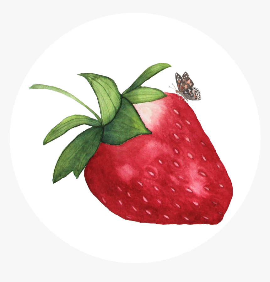 My Giant Strawberry, Strawberry Illustration, Butterfly, - Watercolor Strawberry Transparent Background, HD Png Download, Free Download