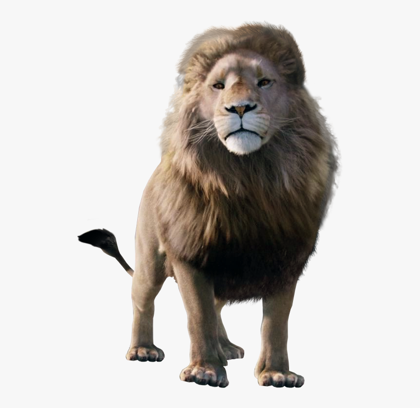 Liop - Aslan Narnia, HD Png Download, Free Download