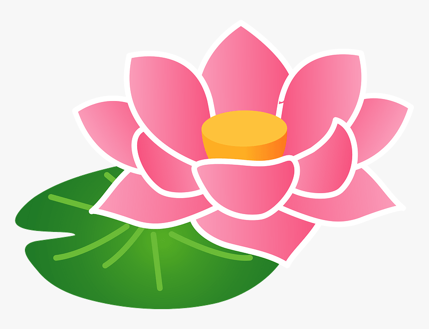 Lotus Flower Clipart - Lotus Family, HD Png Download, Free Download