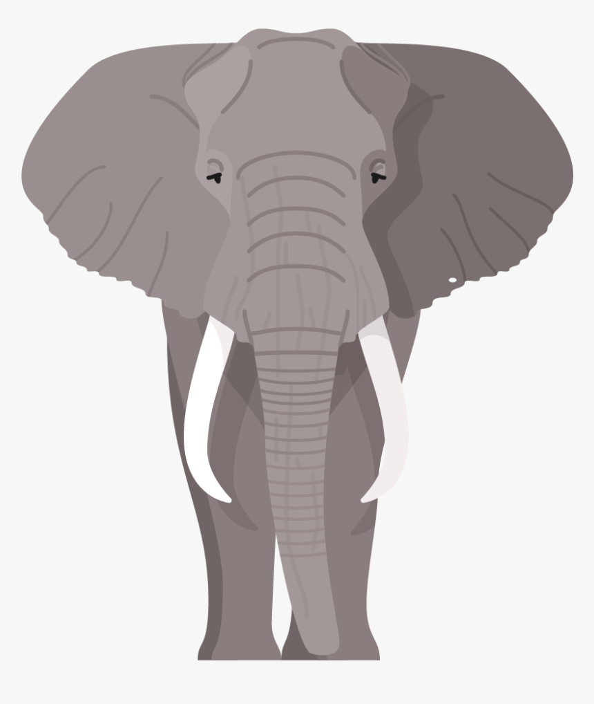 Transparent Elephant Seal Png - Indian Elephant, Png Download, Free Download