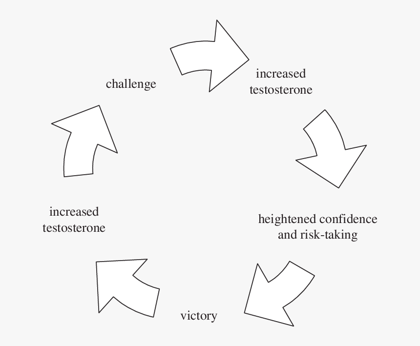 Schematic Representation Of A Winner Effect Mediated - Problem Solving, HD Png Download, Free Download