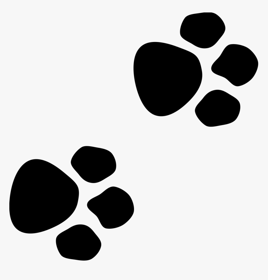 Dog Traces, HD Png Download, Free Download