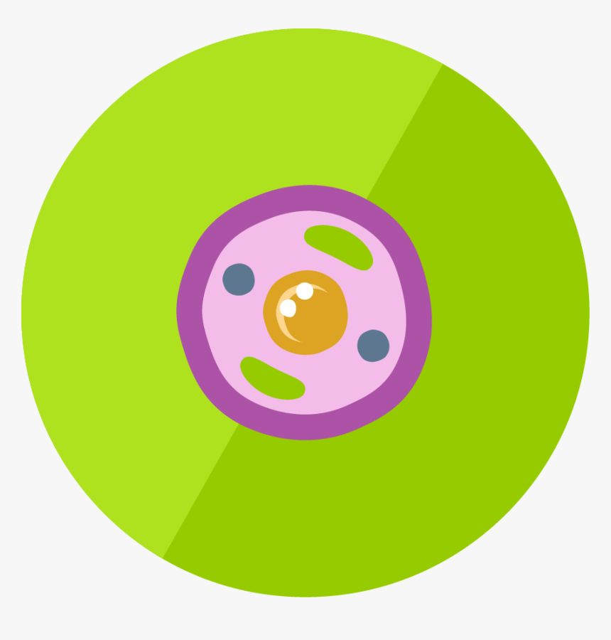 The Animal Cell - Animal Cell Icon Png, Transparent Png, Free Download