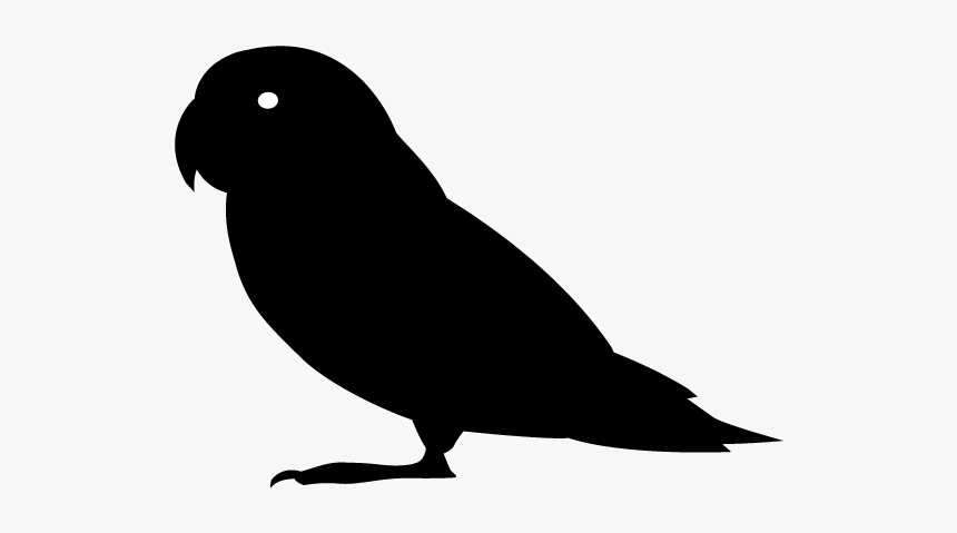 Parakeet Silhouette Clipart, HD Png Download, Free Download