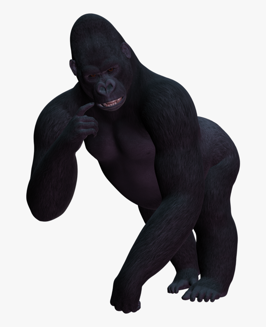 Gorilla Png Image - Gorilla Sitting Transparent Background, Png Download, Free Download