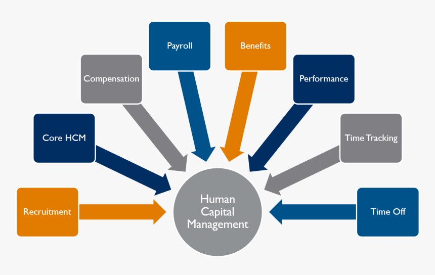 Info Graphic Image Shows Applications Of Workday Hcm - Engagement Models In Business, HD Png Download, Free Download